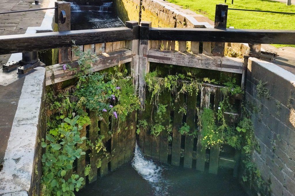 A canal lock covered in foliage at Granary Wharf